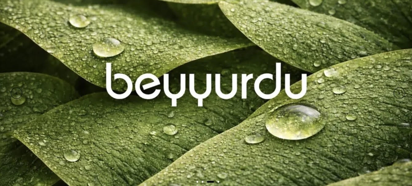 Beyyurdu